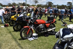 23467322_1522883011135830_3368620687337311126_o